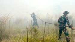 Cegah Kebakaran Meluas, Tanpa Kenal Lelah Satgas Karhutla Lanud Sjamsudin Noor Pantang Menyerah Kendalikan dan Sekat Titik Api