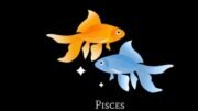 Kesehatan Pisces: Pentingnya Istirahat dan Perhatian terhadap Pola Makan