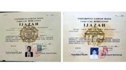 Mengungkap Fakta di Balik Font Times New Roman dalam Skripsi Jokowi