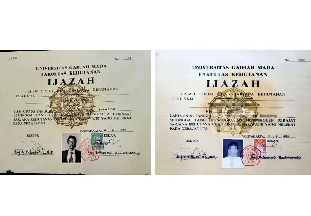 Mengungkap Fakta di Balik Font Times New Roman dalam Skripsi Jokowi