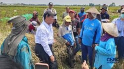 Kebijakan Baru untuk Buruh Tani: Akses Bantuan Alsintan