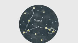 Ramalan Zodiak Pisces untuk Selasa, 1 September 2026