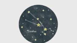 Ramalan Zodiak Taurus untuk Hari Selasa, 1 September 2026