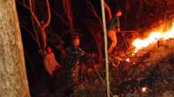 Aksi Sigap Babinsa Dan Warga Padamkan Kebakaran Hutan Jati Di Pagerwojo Blitar
