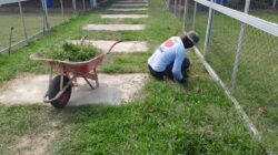 Tingkatkan Ketahanan Pangan, Kompi Produksi Kodim 0808/Blitar Aktif Kelola Pertanian, Peternakan Kambing dan Perikanan