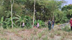 Aksi Cepat Babinsa Dan Tim Gabungan Berhasil Padamkan Kebakaran Rumpun Bambu Di Talun Blitar