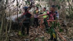 Cepat Tanggap, Babinsa Koramil Sutojayan Bersama Tim Gabungan Berhasil Padamkan Karhutla 2 Hektar Di Blitar