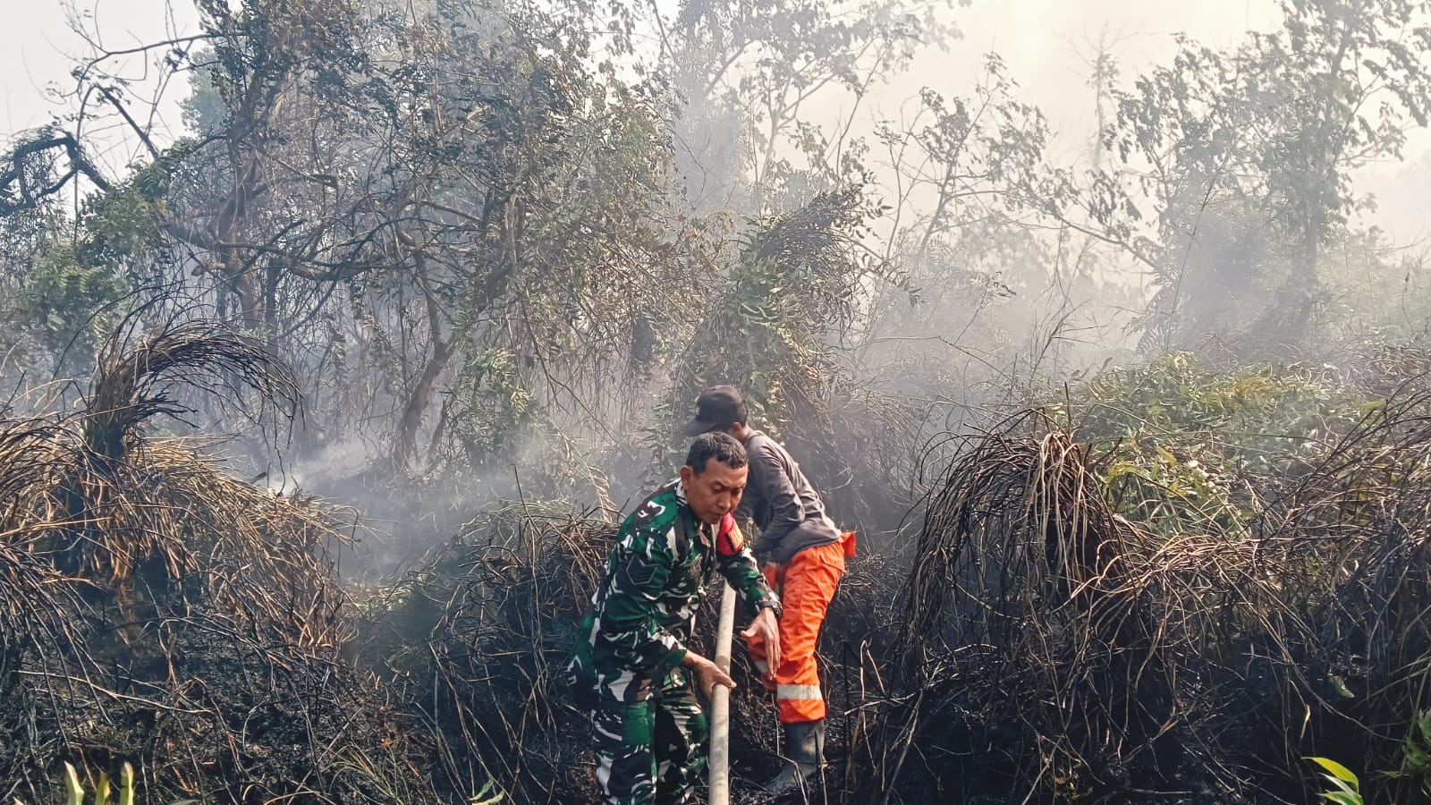 BABINSA BERSAMA TIM GABUNGAN PADAMKAN KARHUTLA DI RAWA MAKMUR BABINSA BERSAMA TIM GABUNGAN PADAMKAN KARHUTLA DI RAWA MAKMUR