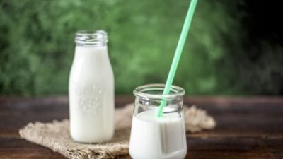 Studi tentang Intoleransi Laktosa dan Konsumsi Susu Studi tentang Intoleransi Laktosa dan Konsumsi Susu
