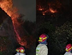 Kebakaran Lahan Hanguskan 1,3 Hektare di Gunung Hatta Bandar Lampung