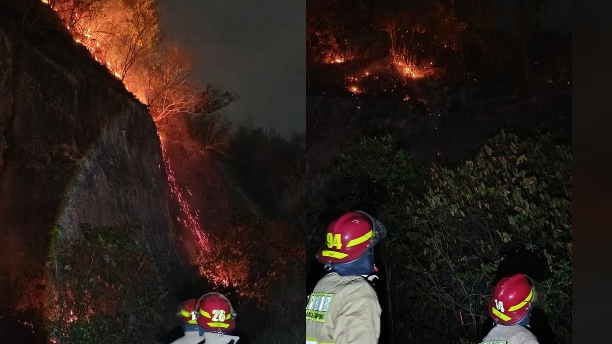 Kebakaran Lahan Hanguskan 1,3 Hektare di Gunung Hatta Bandar Lampung
