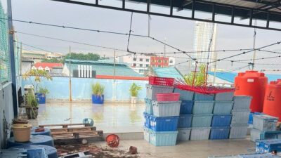 Pembunuhan Tragis di Batam: Asisten Rumah Tangga Menghabisi Nyawa Majikan