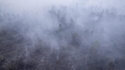 Dampak Asap Kebakaran Hutan RI Terhadap Negara Tetangga