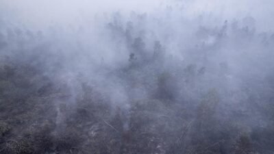 Dampak Asap Kebakaran Hutan RI Terhadap Negara Tetangga