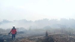 Kenaikan Hotspot Karhutla di Kalbar dan Kalteng: Prioritas Pemerintah
