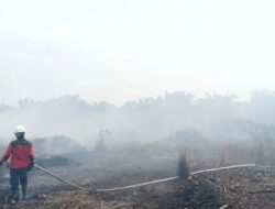 Kenaikan Hotspot Karhutla di Kalbar dan Kalteng: Prioritas Pemerintah
