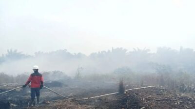 Kenaikan Hotspot Karhutla di Kalbar dan Kalteng: Prioritas Pemerintah