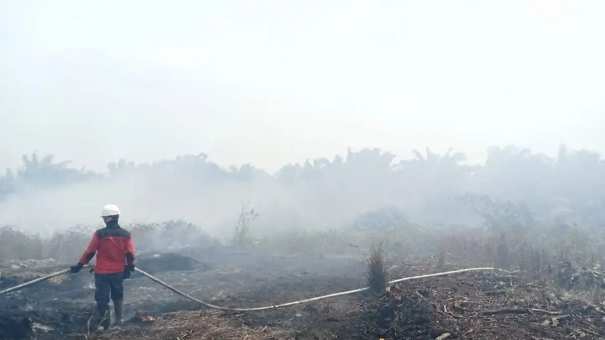 Kenaikan Hotspot Karhutla di Kalbar dan Kalteng: Prioritas Pemerintah