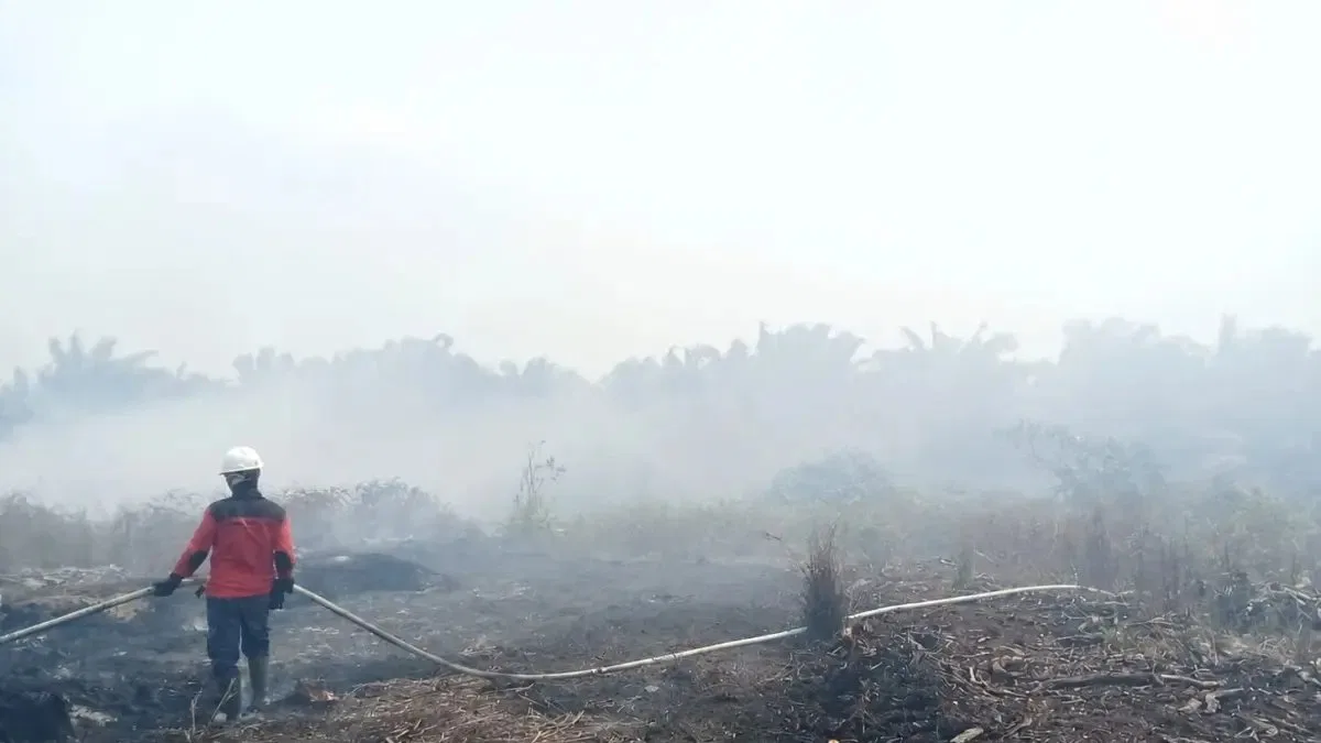 Kenaikan Hotspot Karhutla di Kalbar dan Kalteng: Prioritas Pemerintah