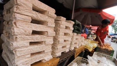 Menggali Potensi Tempe untuk Pasar Global