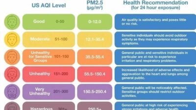 Memahami Indeks Kualitas Udara (AQI): Apa Yang Perlu Diketahui?