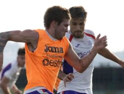 Prediksi Pertandingan Fiorentina vs Torino: Pertarungan Penuh Tekanan di Stadio Franchi