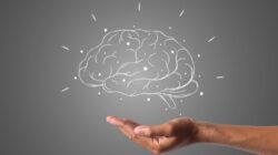 Memenuhi Kebutuhan DHA untuk Optimalisasi Fungsi Otak Anak