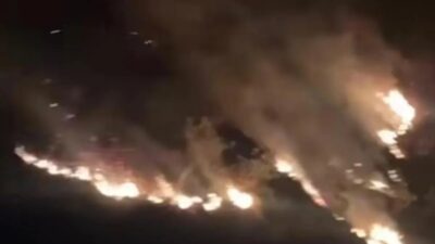 Kebakaran Hebohkan Kawasan Kebun Kina Bukit Unggul