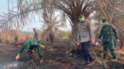 Upaya Pencegahan Kebakaran Hutan dan Lahan di Riau