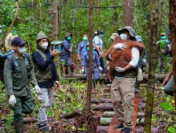 Penyelamatan Satwa Liar dalam Menghadapi Karhutla di Kalimantan Tengah