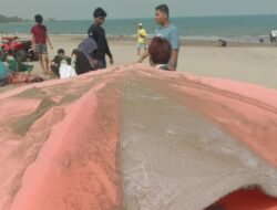 Erupsi Gunung Anak Krakatau dan Dampaknya Terhadap Gelombang Tsunami