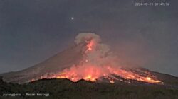 Info Terbaru Mengenai Erupsi Gunung Semeru