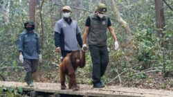 Keberlanjutan Anggaran Kebencanaan di Indonesia: Tantangan dan Solusi