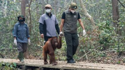Keberlanjutan Anggaran Kebencanaan di Indonesia: Tantangan dan Solusi