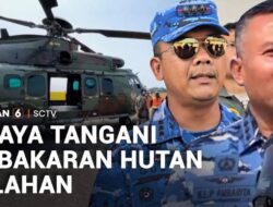 Strategi Menangani Kebakaran Hutan dan Lahan di Indonesia