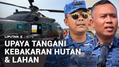 Strategi Menangani Kebakaran Hutan dan Lahan di Indonesia