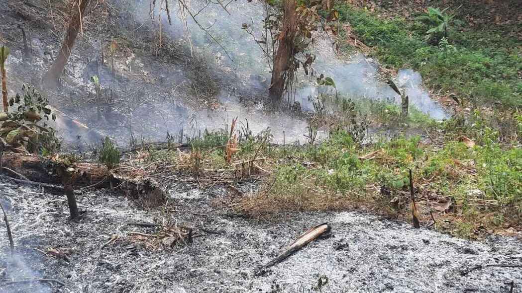 Kebakaran Hutan Dekat TPA Sarimukti KBB: Penyebab dan Upaya Pemadaman