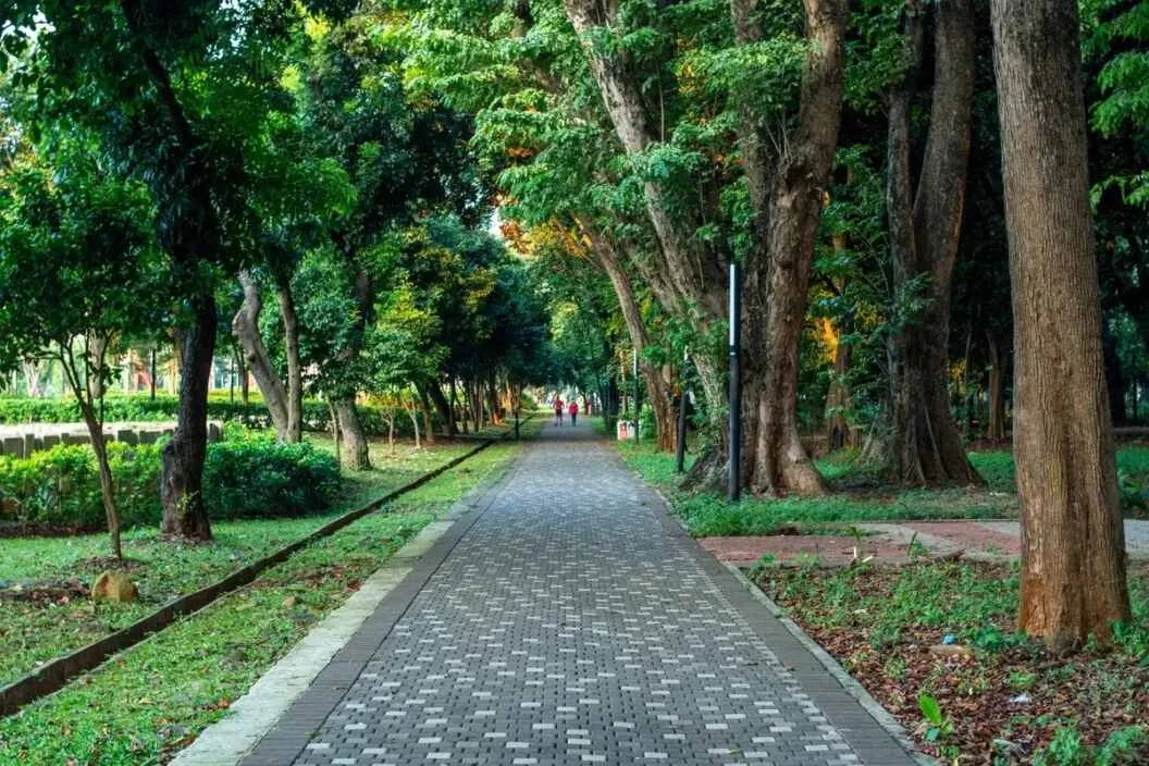 Taman 24 Jam di Jakarta: Pengalaman Wisata Malam yang Mengasyikkan