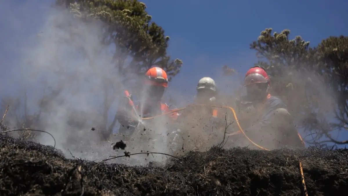 Upaya Pemadaman Kebakaran Hutan di Gunung Bromo