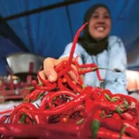 Langkah Strategis Pemerintah Menstabilkan Harga Cabai