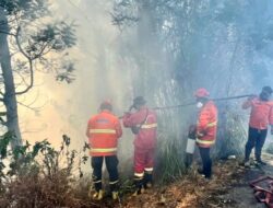 Kesulitan Pemadaman Karhutla di Bromo Akibat Cuaca Buruk