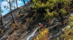 Strategi Efektif BPBD dalam Menangani Karhutla di Gunung Bromo