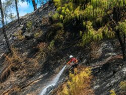 Strategi Efektif BPBD dalam Menangani Karhutla di Gunung Bromo
