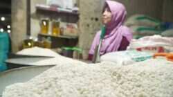 Stok Beras Aman di Tengah Tantangan Cuaca Ekstrem