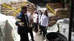 Dukungan Pemprov Jakarta Terhadap Penanganan Penyulundupan Kacang Tanah