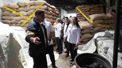Dukungan Pemprov Jakarta Terhadap Penanganan Penyulundupan Kacang Tanah