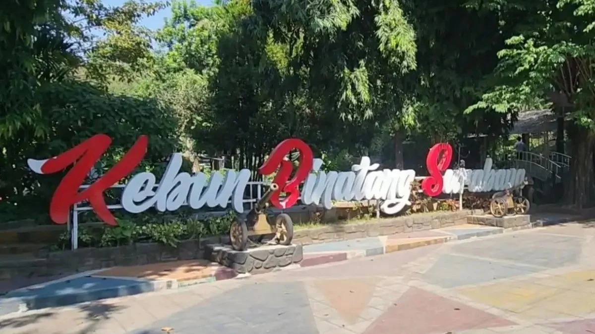 Seleksi Terbuka BUMD Surabaya Diperpanjang Hingga Oktober
