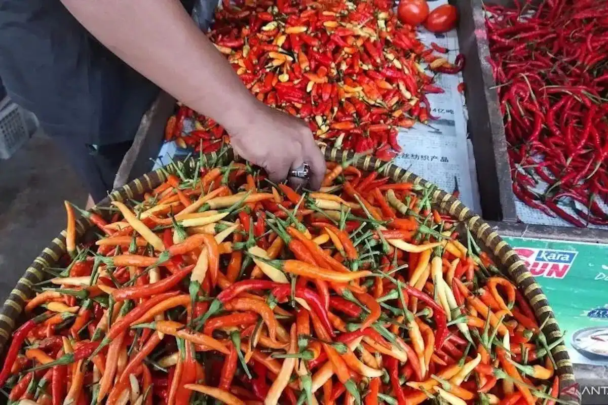 Pantauan Harga Pangan: Cabai dan Telur Alami Kenaikan