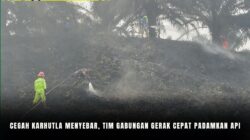 Cegah Karhutla Menyebar Tim Gabungan Gerak Cepat Padamkan Api