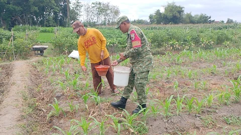 Dukung Hanpangan Nasional, Babinsa Sananwetan Turun Ke Lahan Bantu Petani Lakukan Pemupukan Jagung